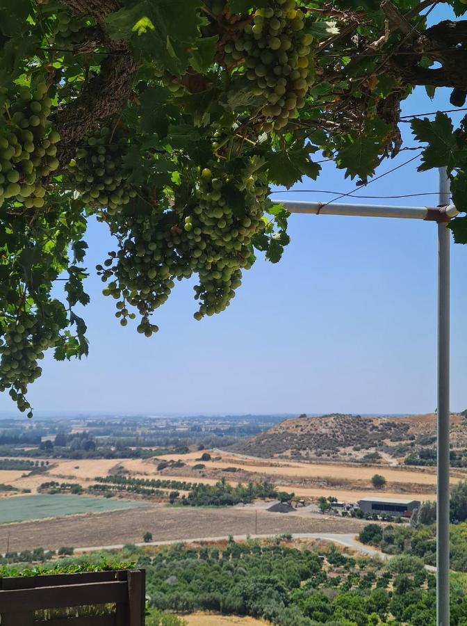 Arodafni House. Unique Views And Amazing Sunsets. Kouklia Exterior photo